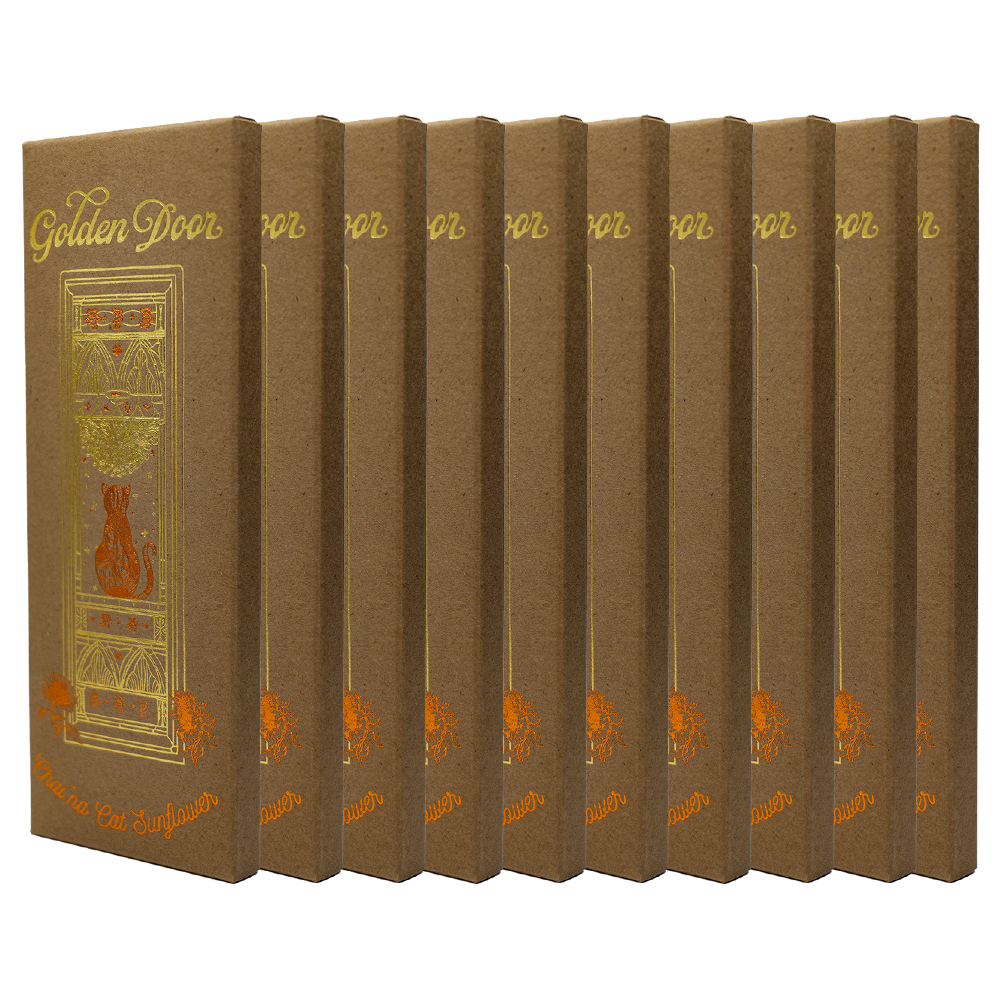 10 Pack Chocolate