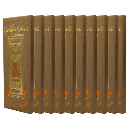 10 Pack Chocolate