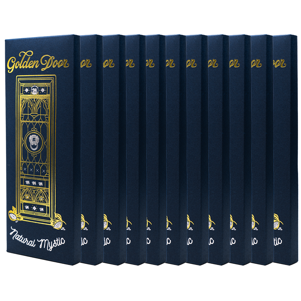 10 Pack Chocolate