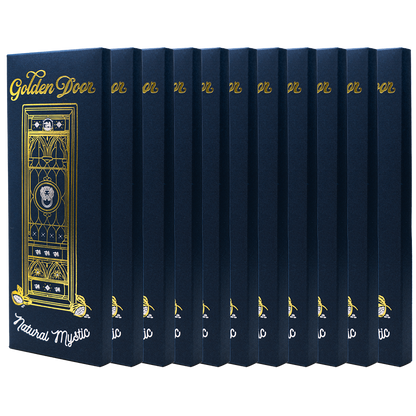 10 Pack Chocolate