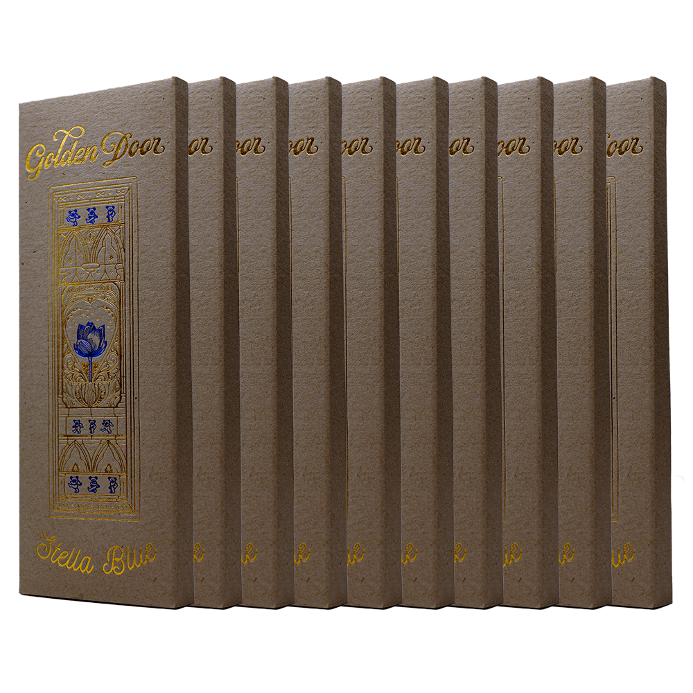 10 Pack Chocolate