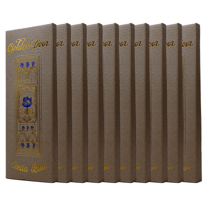 10 Pack Chocolate