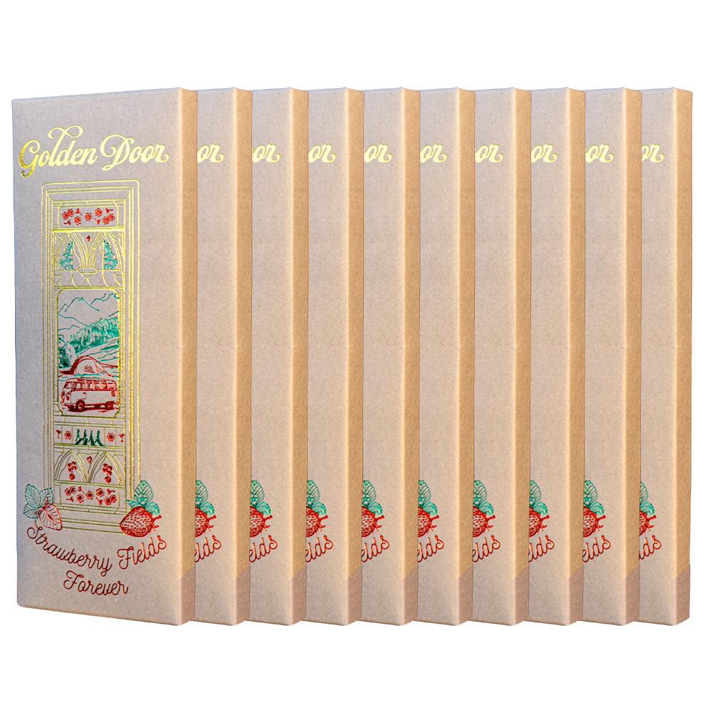 10 Pack Chocolate