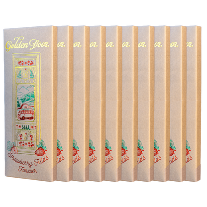 10 Pack Chocolate