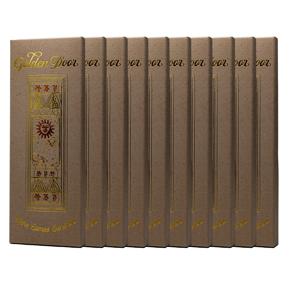 10 Pack Chocolate